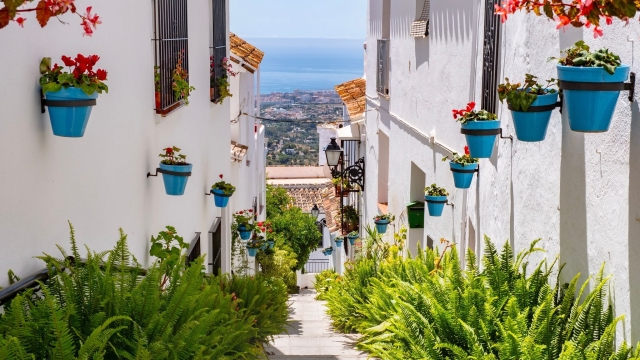 Titelmotiv Multimedia &amp;quot;Andalusischer Fr&uuml;hling&amp;quot;