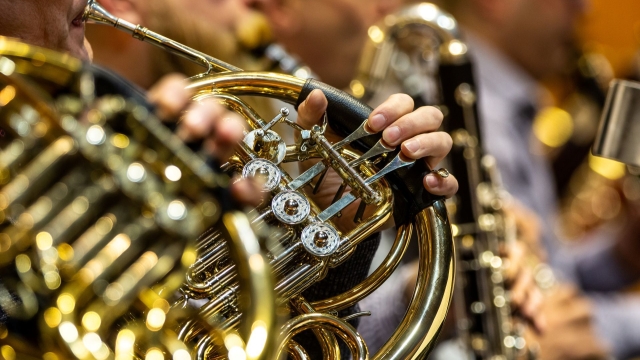 Titelmotiv Konzert &amp;quot;Homecoming&amp;quot;
