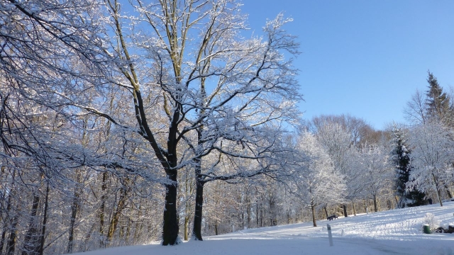 Titelmotiv Sonntagspilgern