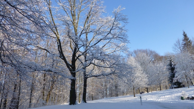 Titelmotiv Naturspaziergang