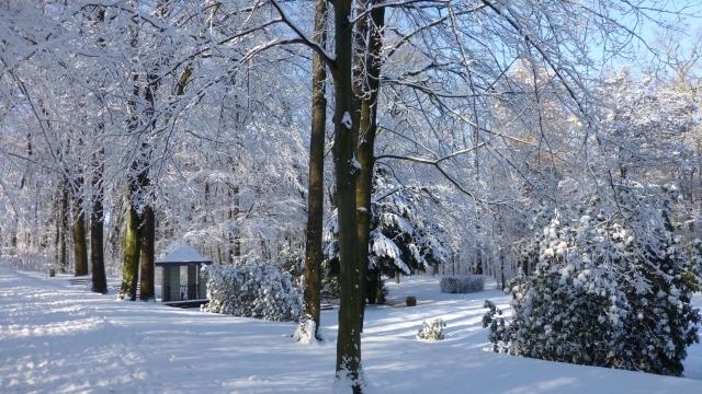 Titelmotiv Terra π - Natur hilft heilen! "Rote Nase, Frost im Haar"