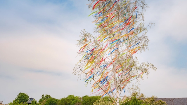 Titelmotiv Traditionelles Maibumsetzen