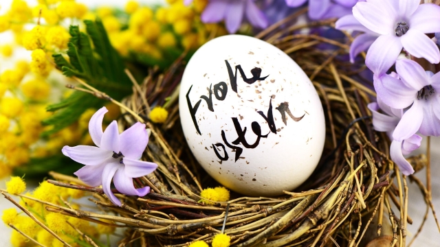 Titelmotiv Osteraktion 2026