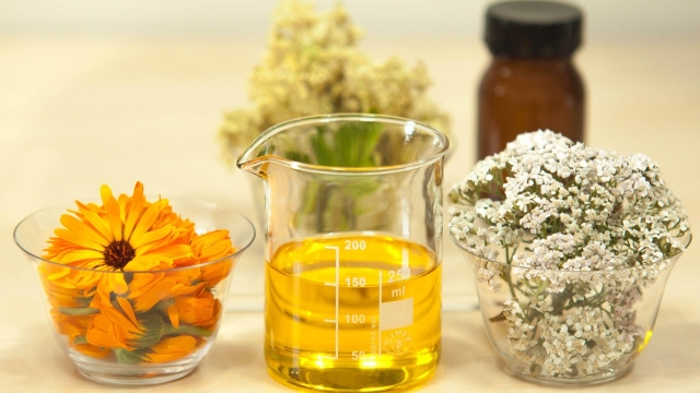 Titelmotiv Naturkosmetik selbst gemacht