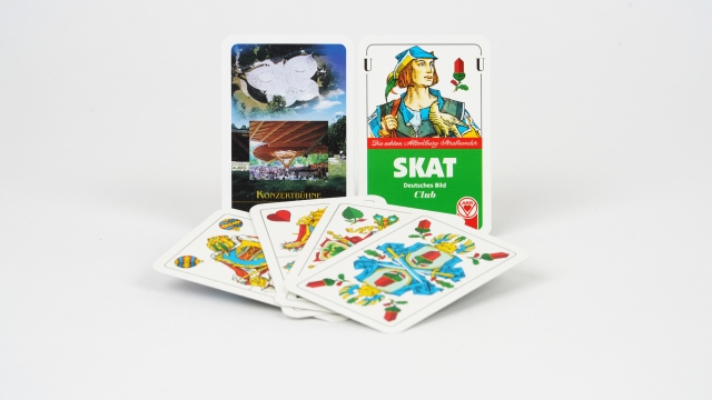 Titelmotiv Skatabend