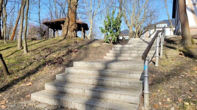 Titelmotiv Er&ouml;ffnung Kneipp-Venentreppe