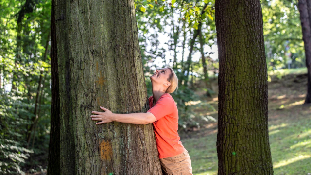 Titelmotiv Terra π - Natur hilft heilen! &amp;quot;Herbst-Waldbaden und Naturerlebnis&amp;quot;