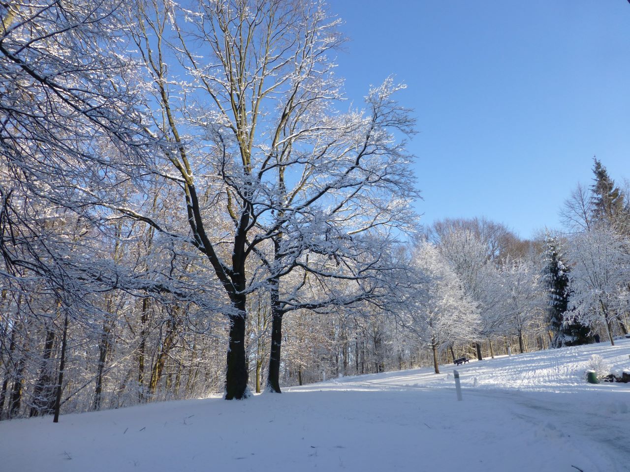 Titelmotiv Sonntagspilgern