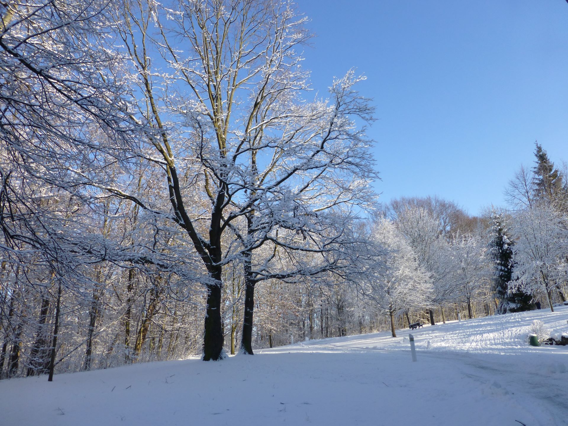 Titelmotiv Naturspaziergang 