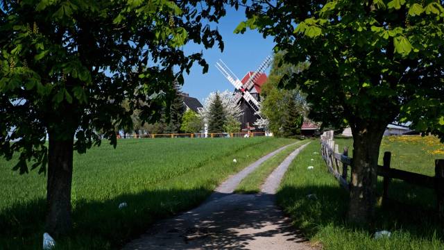 Frontaufnahme der Bockwindmühle mit Weg