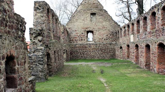 Klosterruine Nimbschen