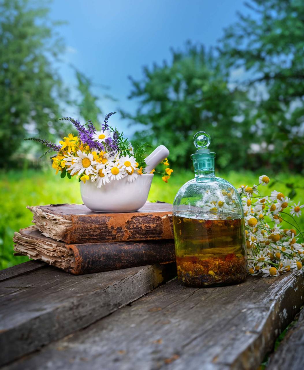 Kamillenblüten in einer Teekanne und Gefäß daneben