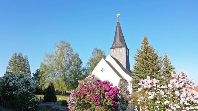 Blick auf die Martinskirche, im Vordergrund bunte Blumenbüsche