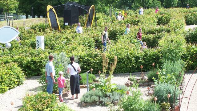 Labyrinthhecken und Besucher