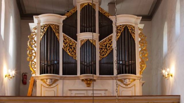 Orgel der Stadtkirche