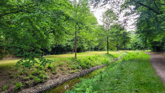 Titelmotiv Ringweg Steingrundbach (TK 3)