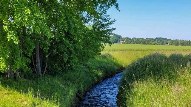 Ein kleiner Bach am Rande eines grünen Feldes