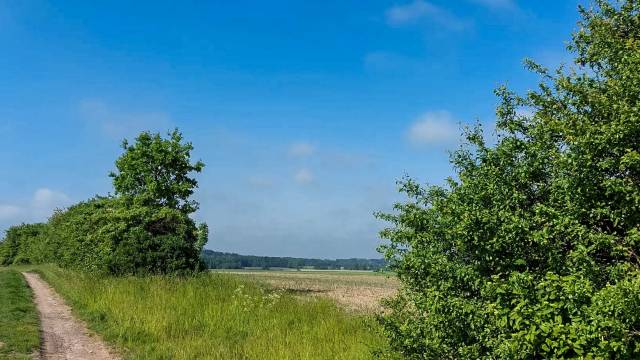 Blick auf ein weites Feld unter strahlend blauen Himmel