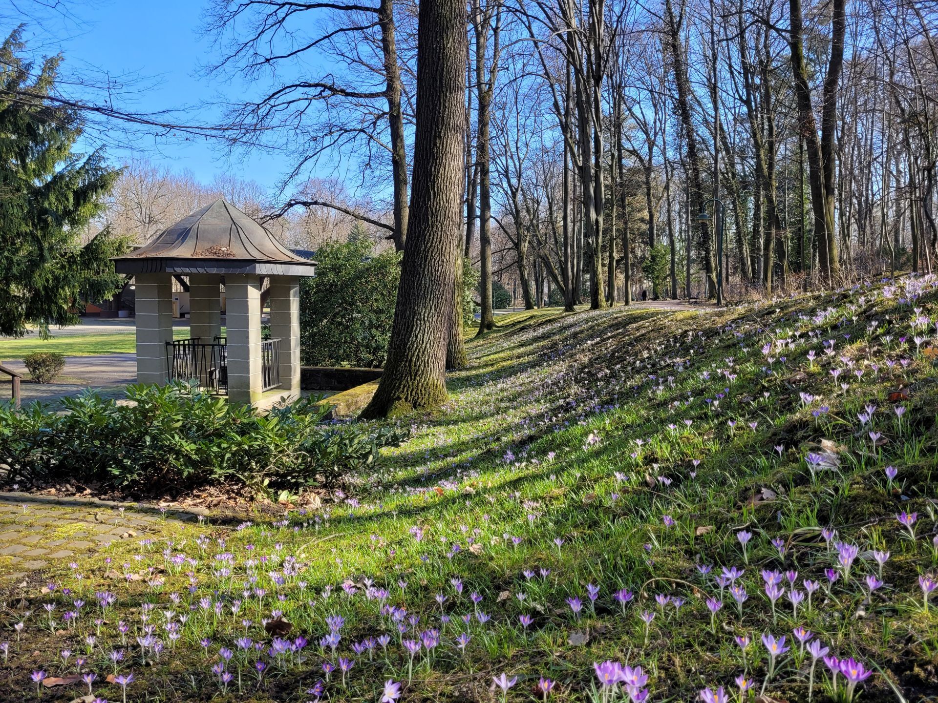Titelmotiv Terra π - Natur hilft heilen! 