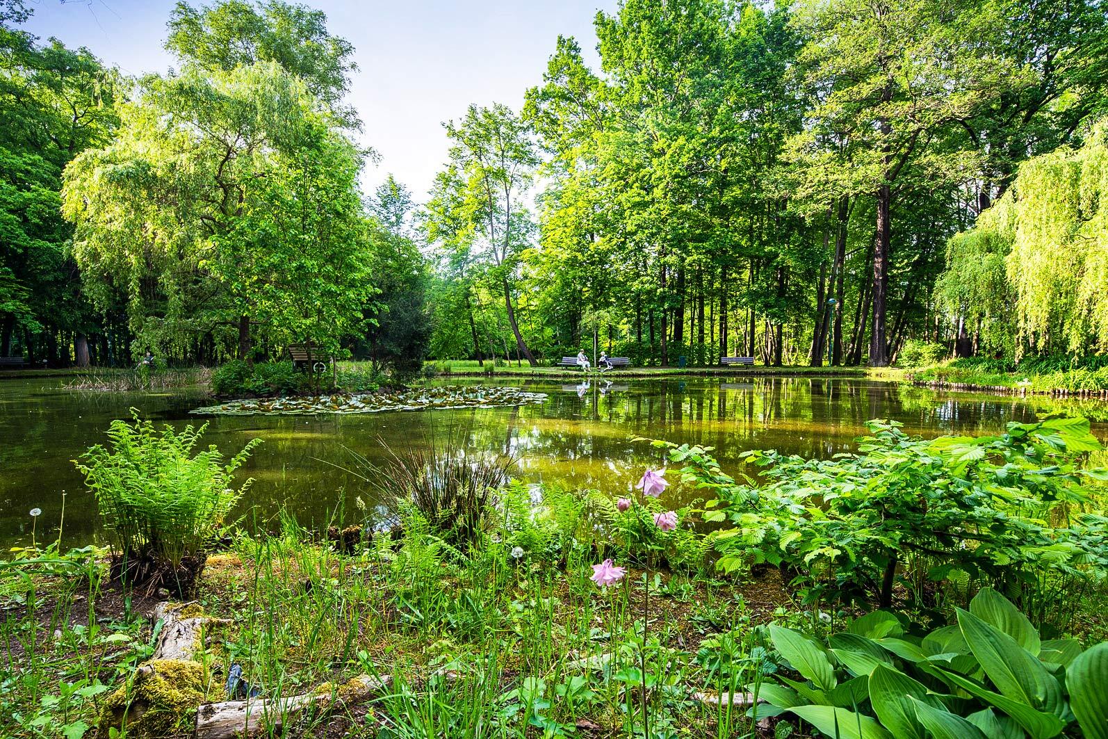 Titelmotiv Naturspaziergang  