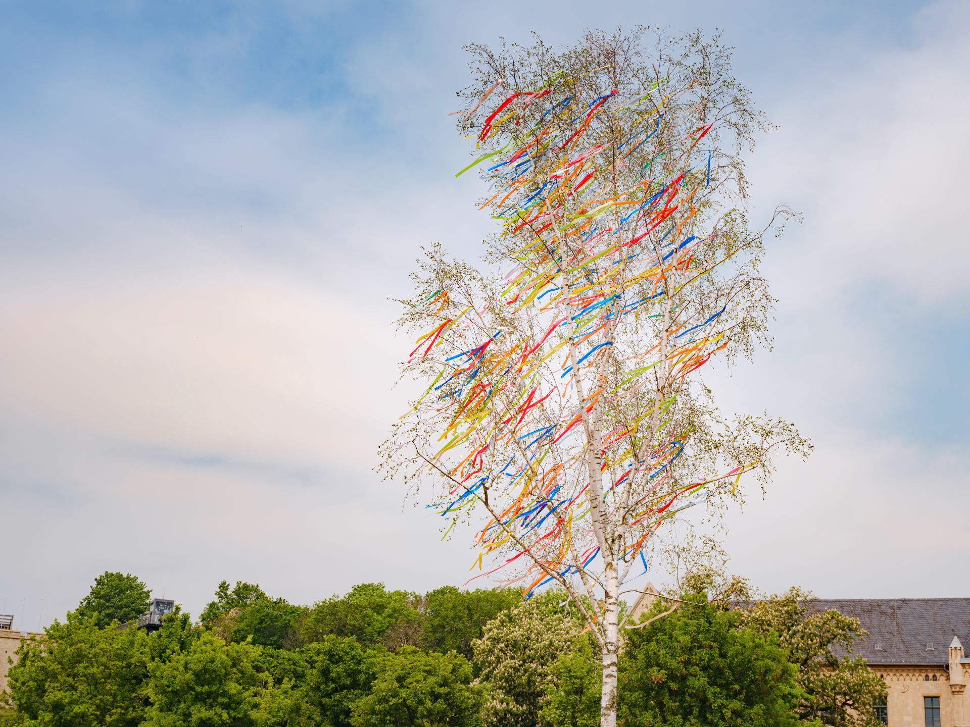 Titelmotiv Traditionelles Maibumsetzen