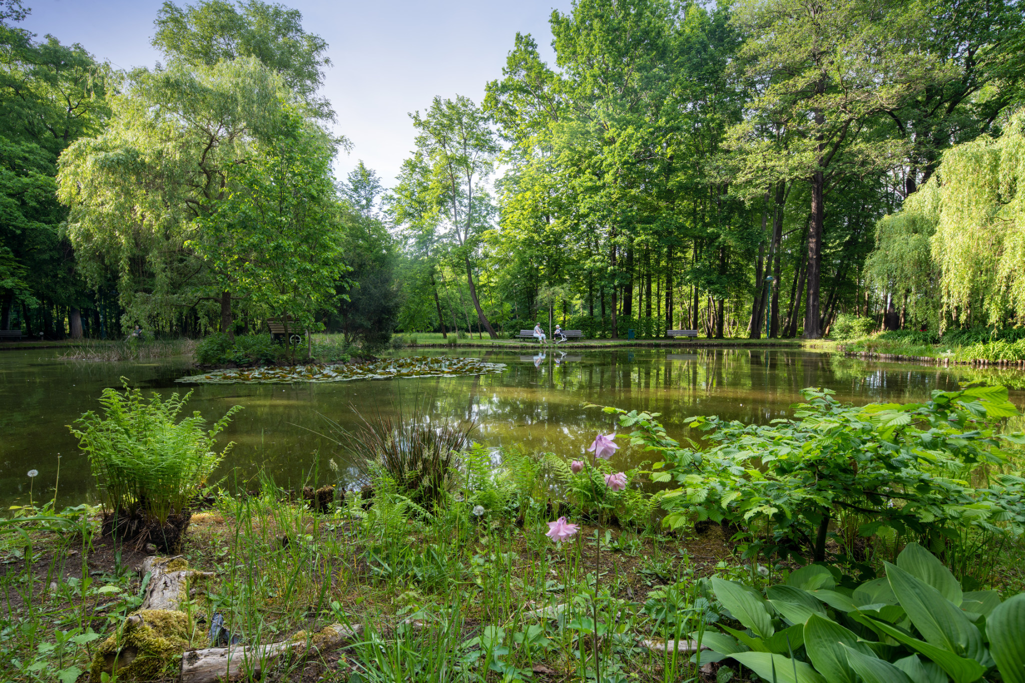 Titelmotiv Botanische Kurparkführung