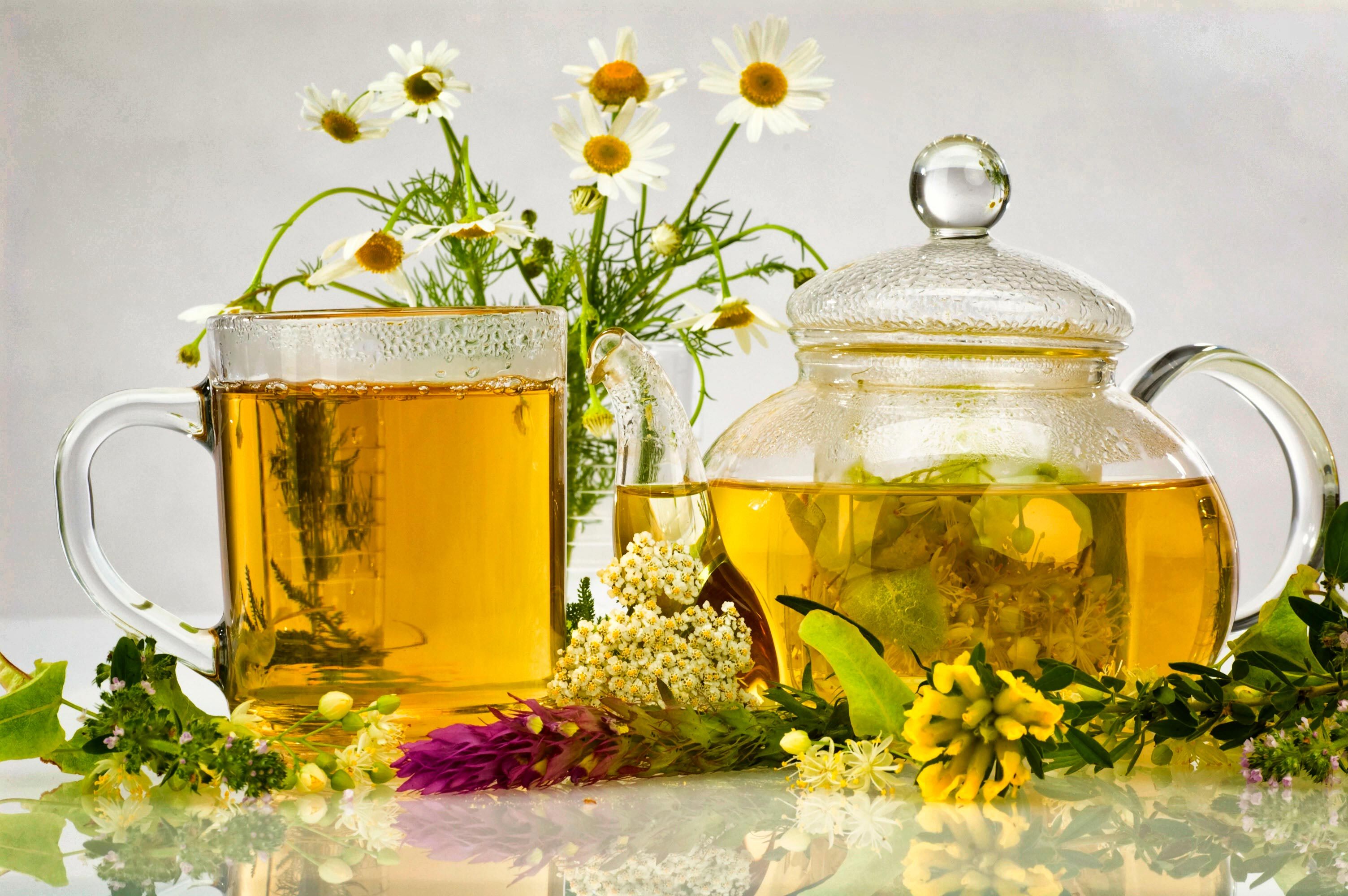 Glas und Kanne mit Kräutertee