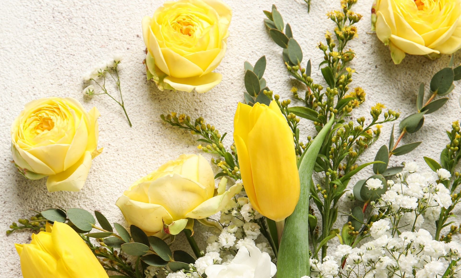 Titelmotiv Im Frauenkreis 