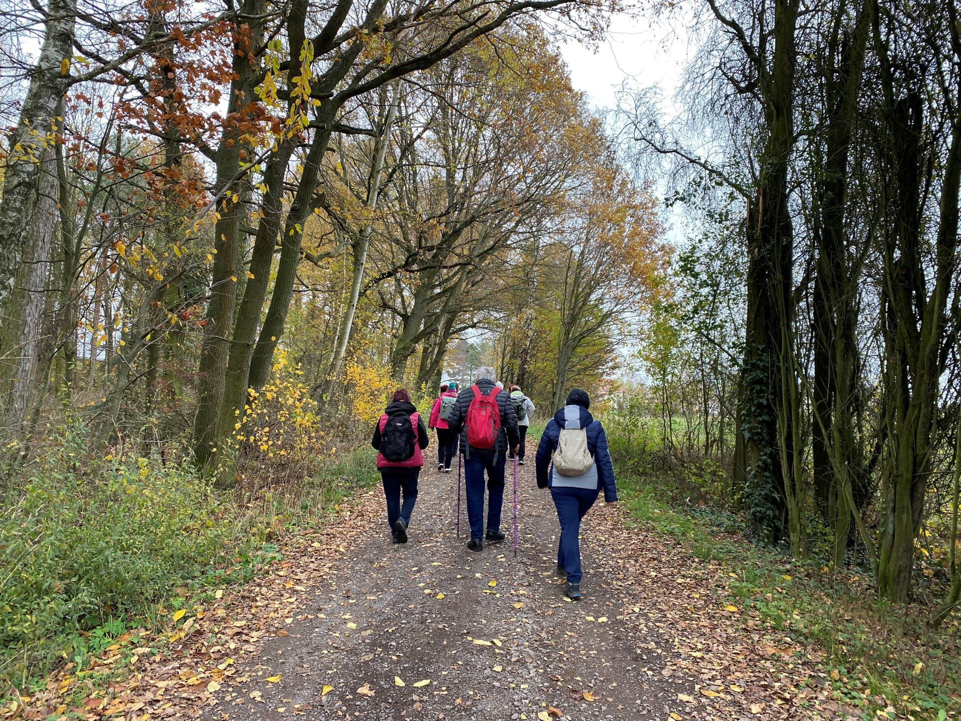 Titelmotiv Gef&uuml;hrte Streckenwanderung zum Widderfest nach Zschetzsch